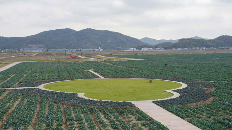 浙農(nóng)科技岱山運(yùn)營(yíng)項(xiàng)目獲人民日?qǐng)?bào)、新華社、央視等主流媒體關(guān)注